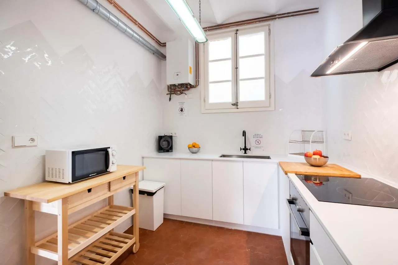 B32-Sunny And Modernist Apartment For Groups In Center Barcelona Spanien